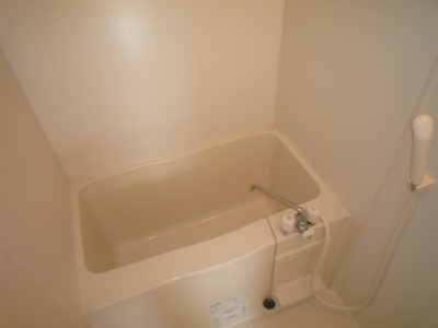 Bath. Bathing toilet, It is separate! It is a basic!