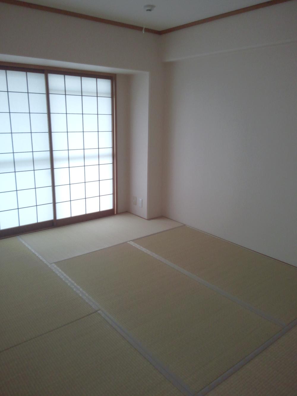 Other introspection. Japanese style room