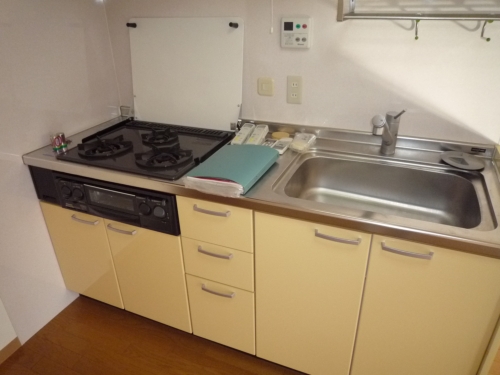 Kitchen. Spacious sink! Gas is a 3-neck system Kitchen!