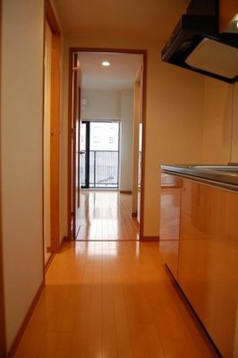 Living and room. It is the entrance of the entrance of the room. 