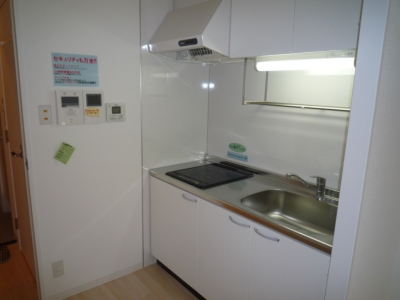 Kitchen. System kitchen, Space of glad equipment refrigerators firmly! 