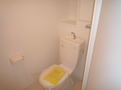 Toilet. In also housed WC, Will clean gathered up! 