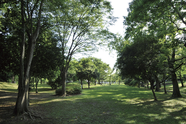 Surrounding environment. Senri Chuo Park (6-minute walk ・ About 470m)