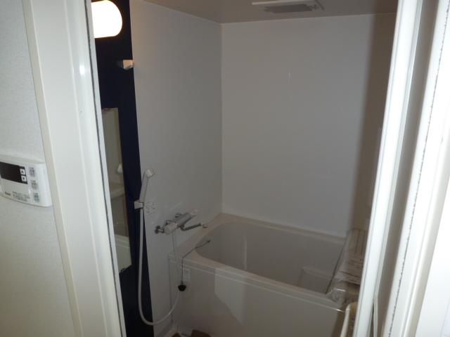 Bathroom. Indoor (10 May 2013) Shooting