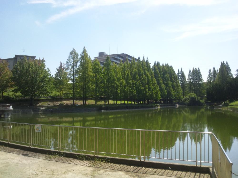 Other local. Taken from the pond across the Satake park