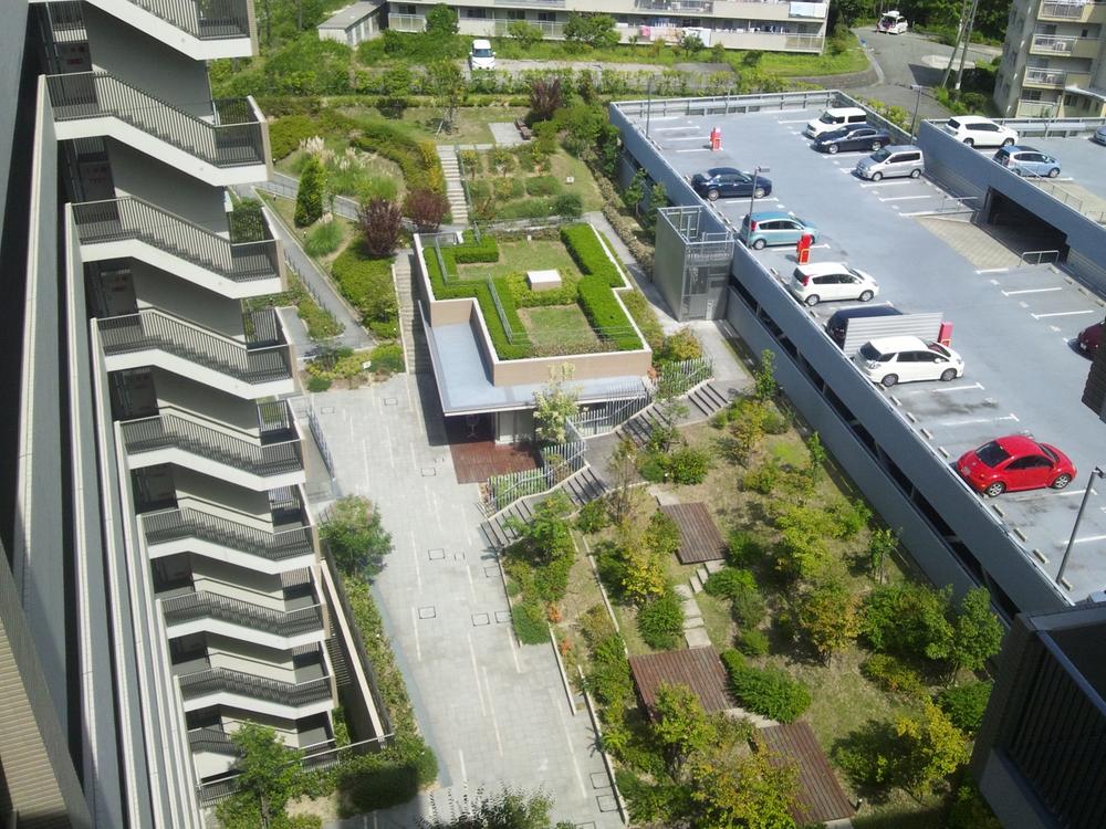 Parking lot. Parking and an on-site open space