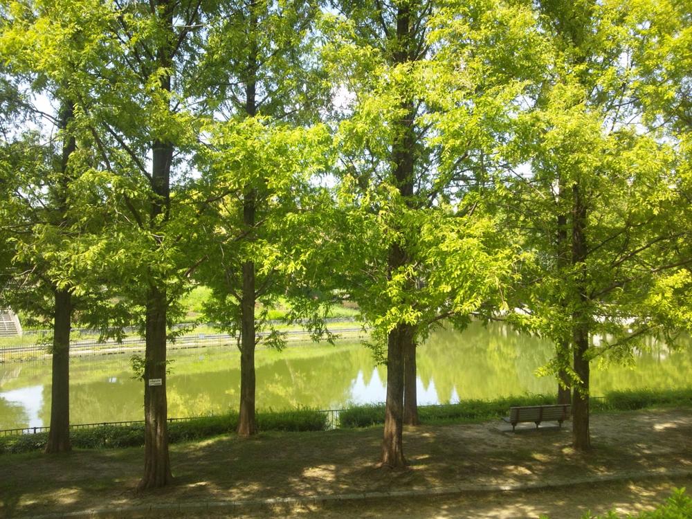Other. Lush Satake park