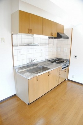 Kitchen. Spacious kitchen (With gas stove)