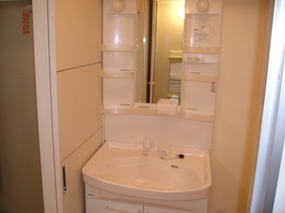 Washroom. It is wide vanity with shower! Worry dressing