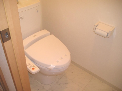 Toilet. Washlet equipped! Storage also Masu throne!