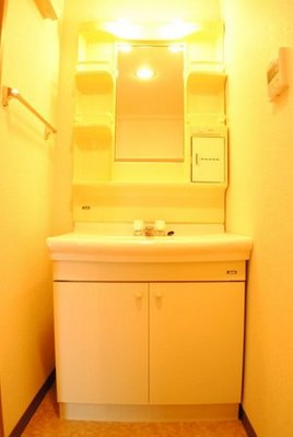 Washroom. Shampoo dresser