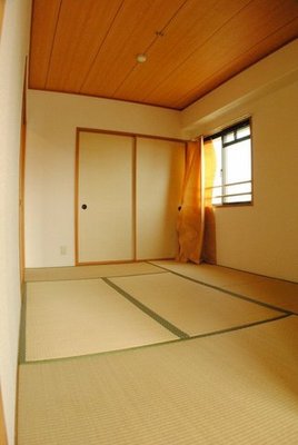 Living and room. Is I am happy there is a Japanese-style room. 