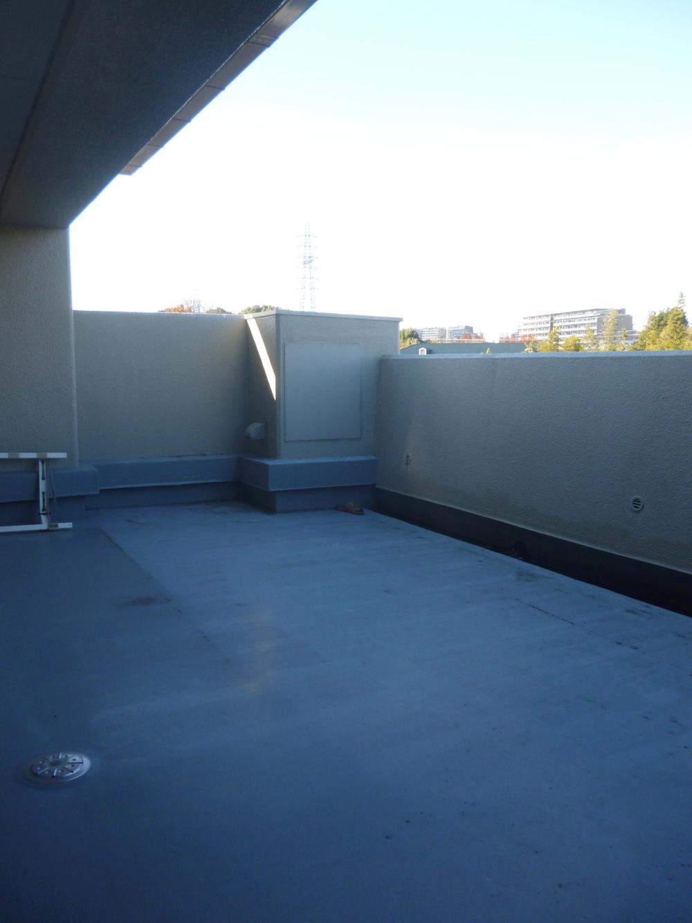 Balcony. Roof garden