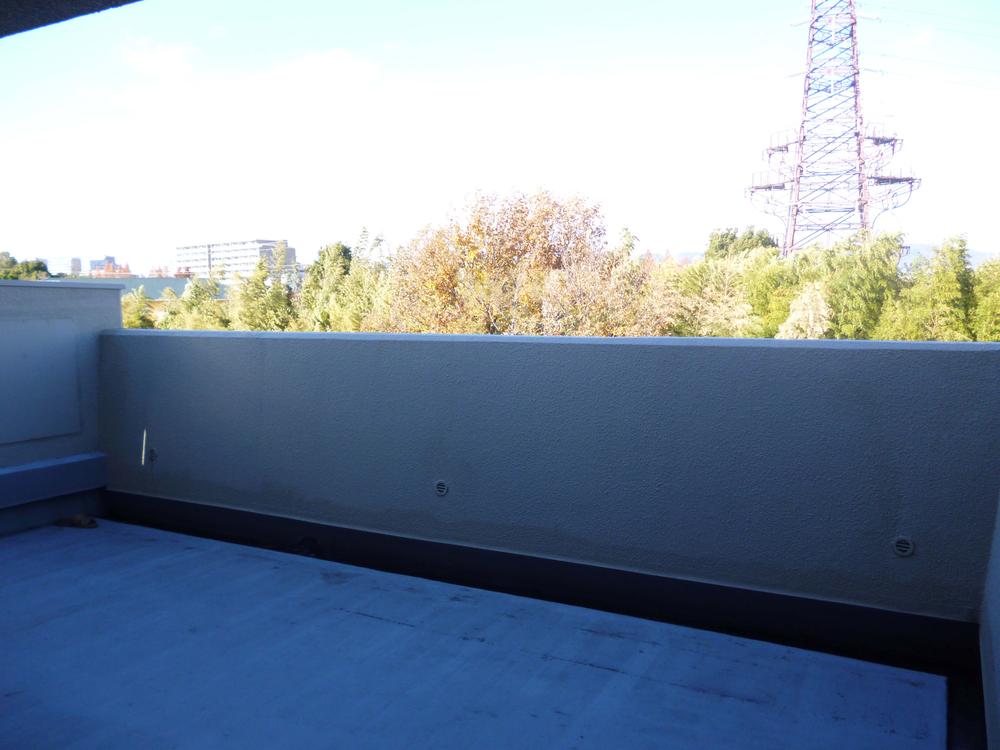 Balcony. Roof garden