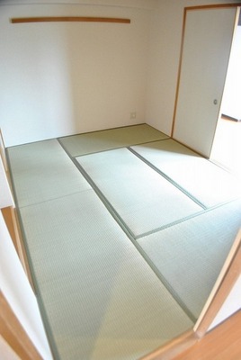 Living and room. Relaxation of Japanese-style room