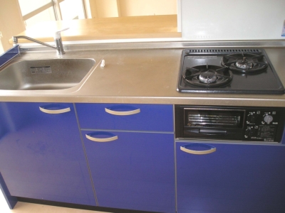 Kitchen. Sink also a spread system Kitchen! Beautiful blue kitchen!