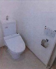 Toilet. Same type model