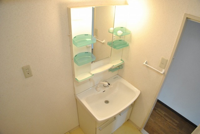 Washroom. Shampoo dresser