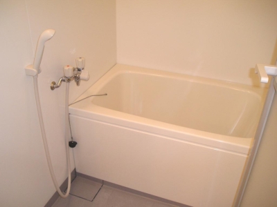 Bath. In your preview, It will be spacious bathroom of assent. 