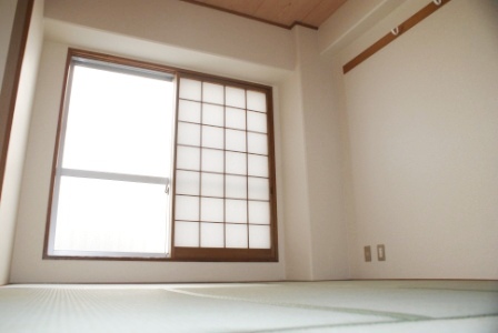 Other room space. Japanese style room