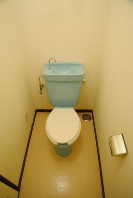 Toilet. Toilet