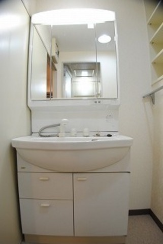 Washroom. Independent wash with a shampoo dresser