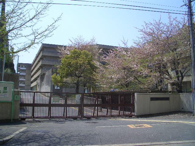 Junior high school. Saidera junior high school