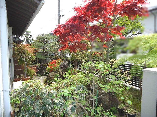 Garden. From west