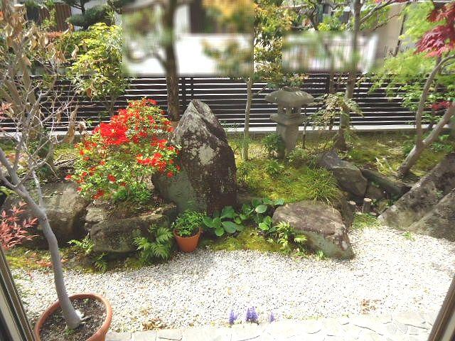 Garden. From north