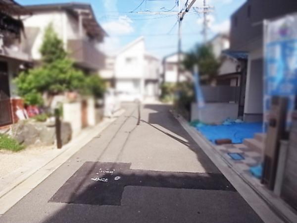 Local photos, including front road. Frontal road