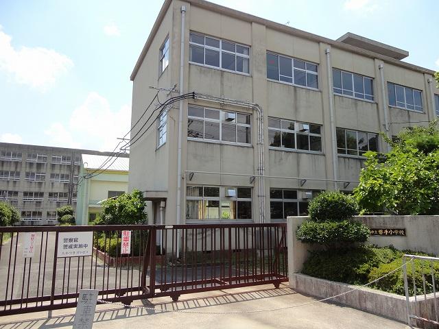Other local. Iwate elementary school