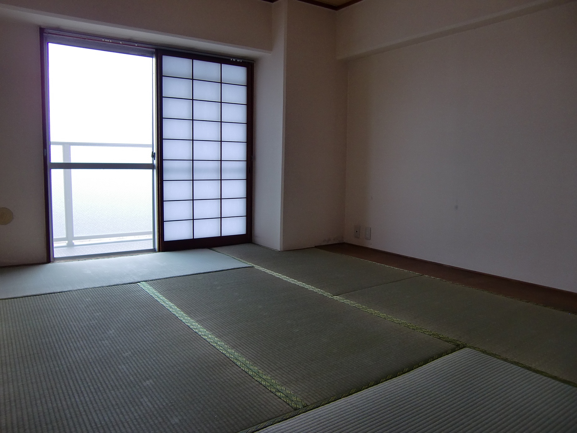 Living and room. Japanese-style room (1)