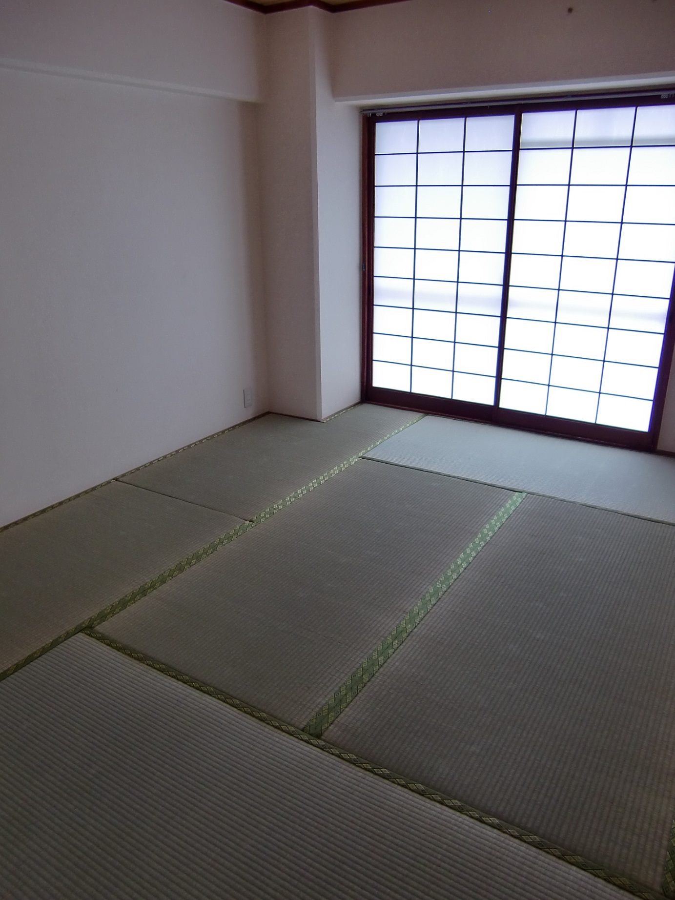 Living and room. Japanese-style room (2)