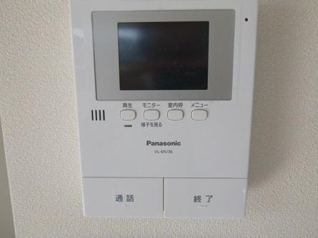 Other introspection. Peace of mind of the TV monitor with intercom