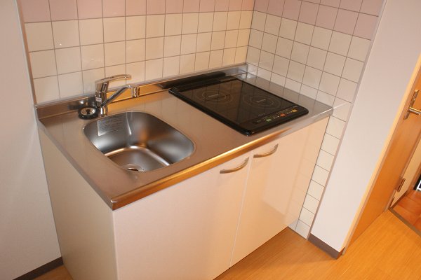 Kitchen. IH2 burner stove