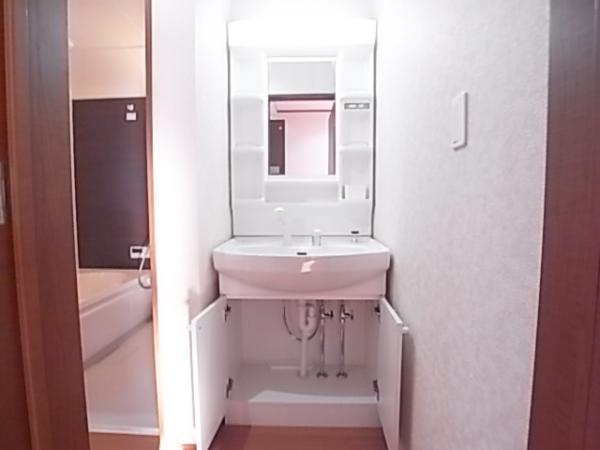 Wash basin, toilet. Wash basin with storage enhancement of the shower (same specifications washbasin)