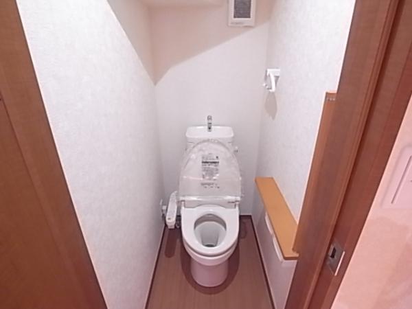 Toilet. Care with a simple shower toilet (same specifications toilet)