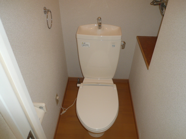 Toilet. The photograph is a separate issue type.