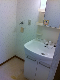 Washroom. Laundry Area is also the room
