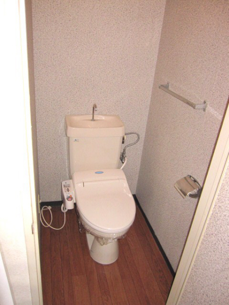 Toilet. ● toilet ●
