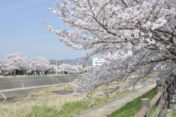 Surrounding environment. Akutagawa along the road (a 10-minute walk ・ About 800m)