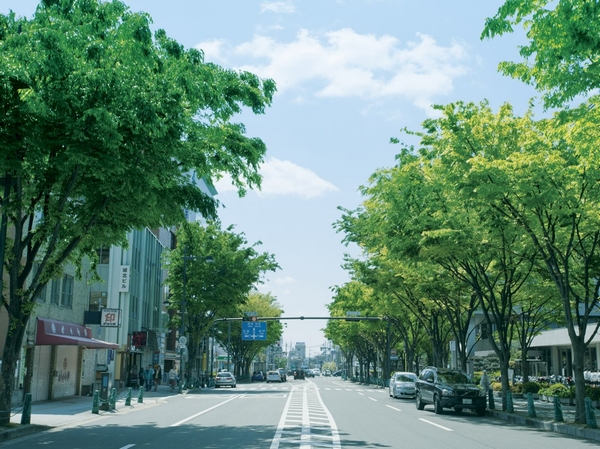Other. Also say Takatsuki of Symbol Road, Zelkova street (1-minute walk ・ About 40m). Local has recessed one from this street