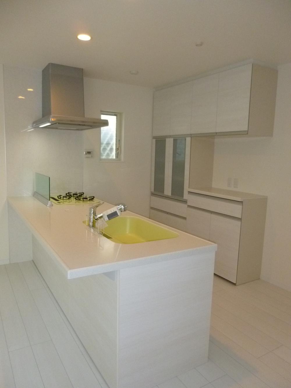 Kitchen. The entire kitchen