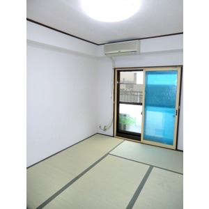 Living and room. Japanese-style room (2)