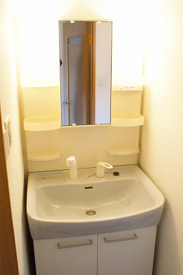 Washroom. Shampoo dresser