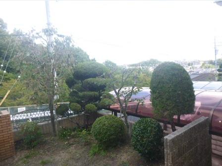 Garden. So we have located on a hill, View is good! The surroundings are calm environment less car street!
