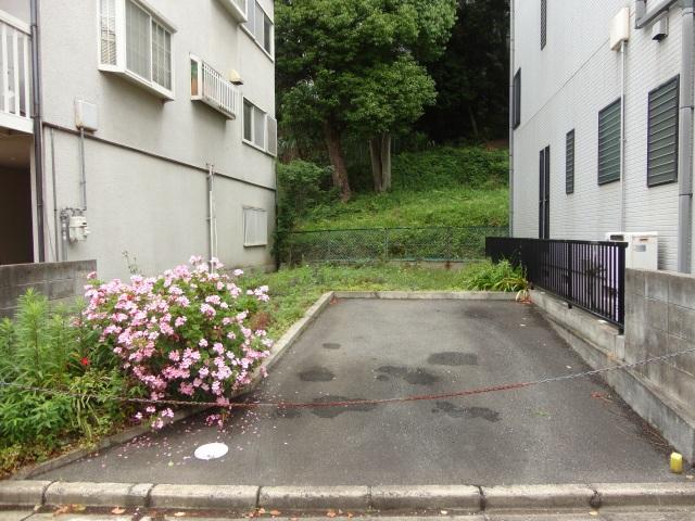 Local land photo