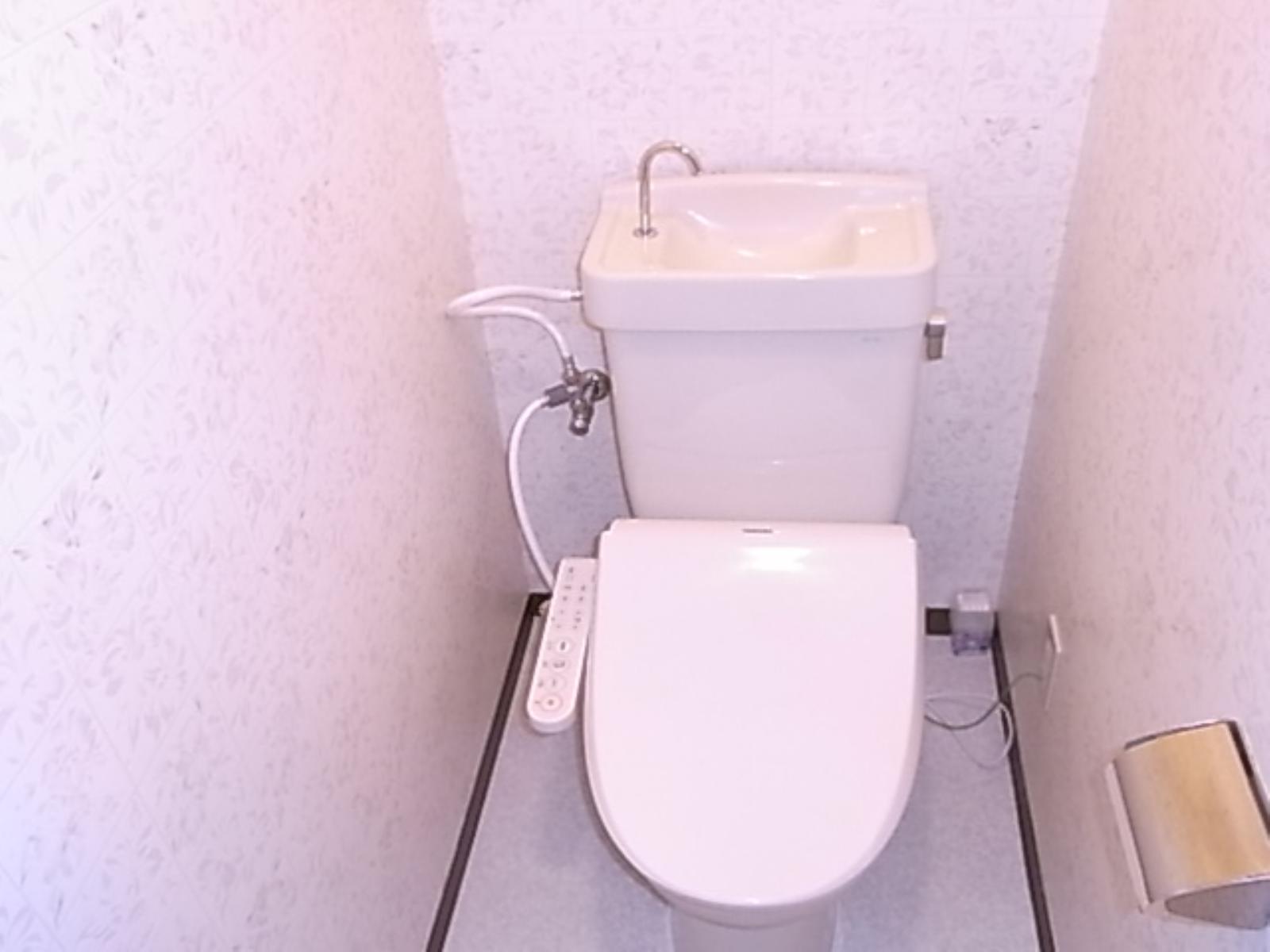 Toilet. Bidet