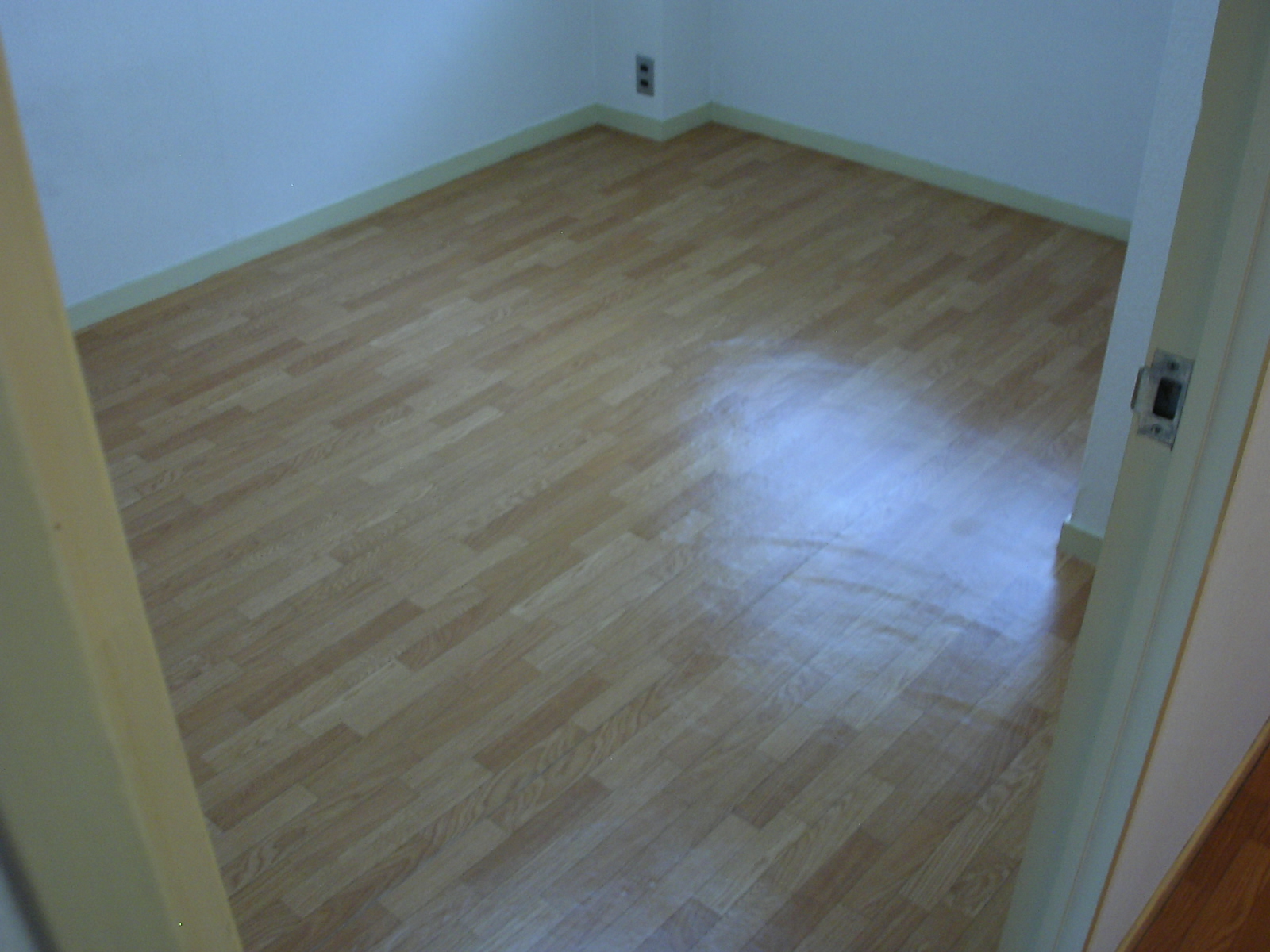 Living and room. Western style room