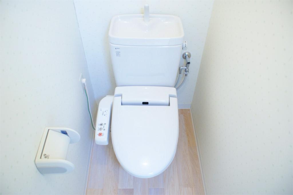 Toilet. Warm water washing toilet seat